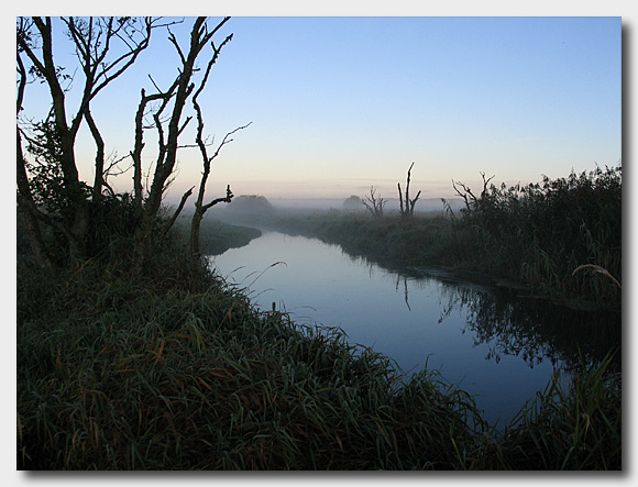 09091202 (107K)