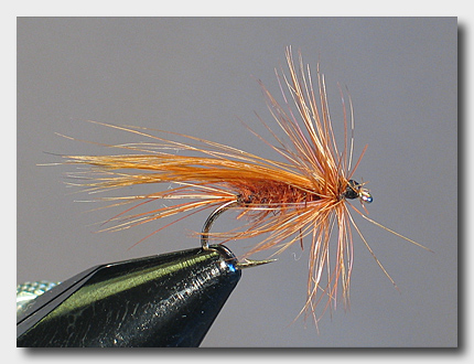 brownsedge (82K)