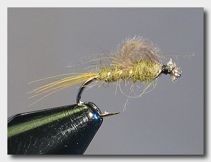 emerger (76K)