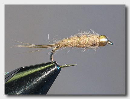ghrabbitnymph (70K)