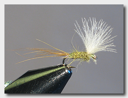 nohackledun (76K)
