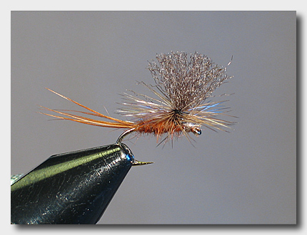 parachutedun (73K)